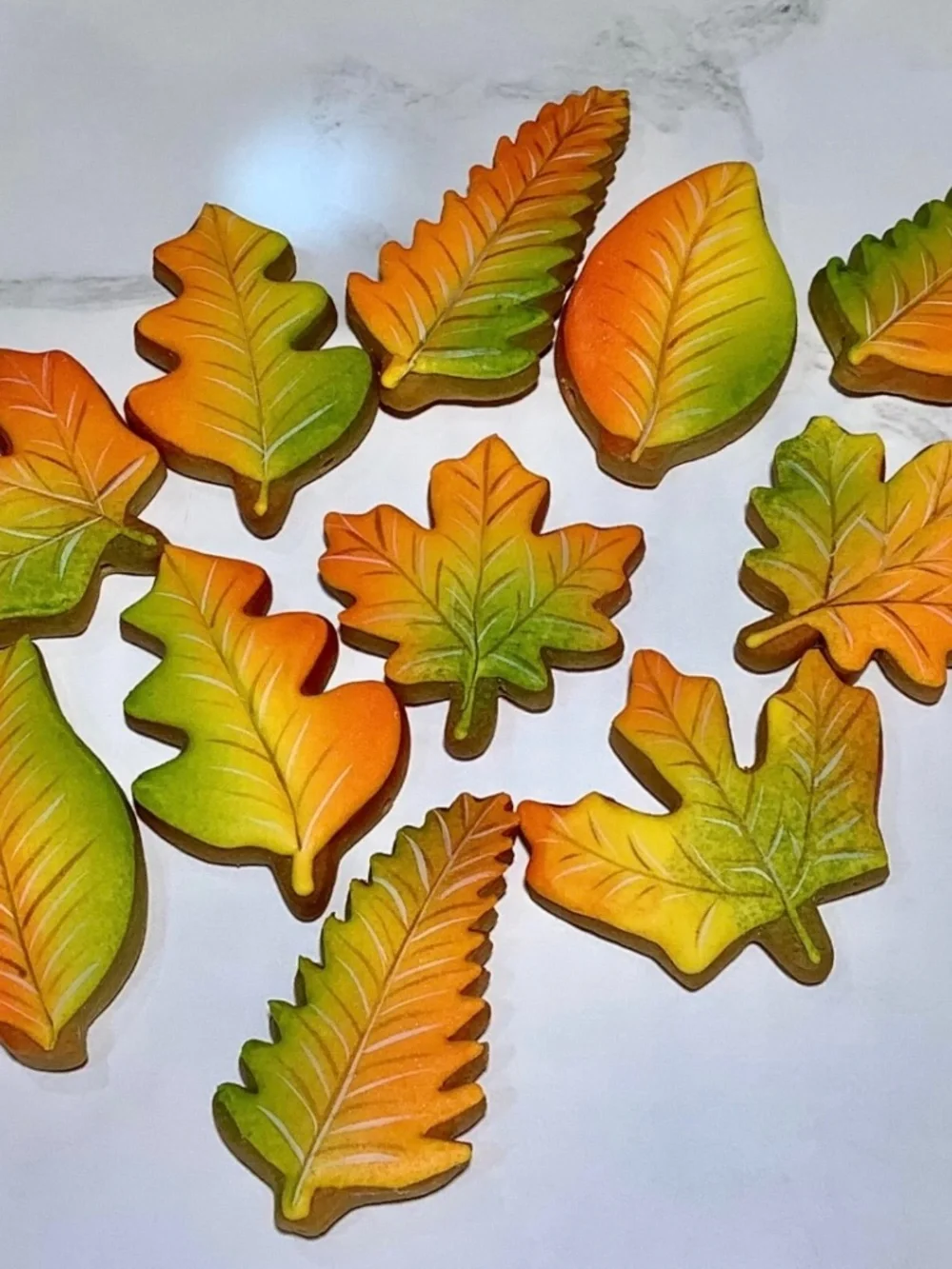 6-Piece Metal Fall Cookie Cutter Set – Maple, Oak & Aspen Leaves, Acorn